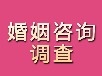 井研婚姻咨询调查